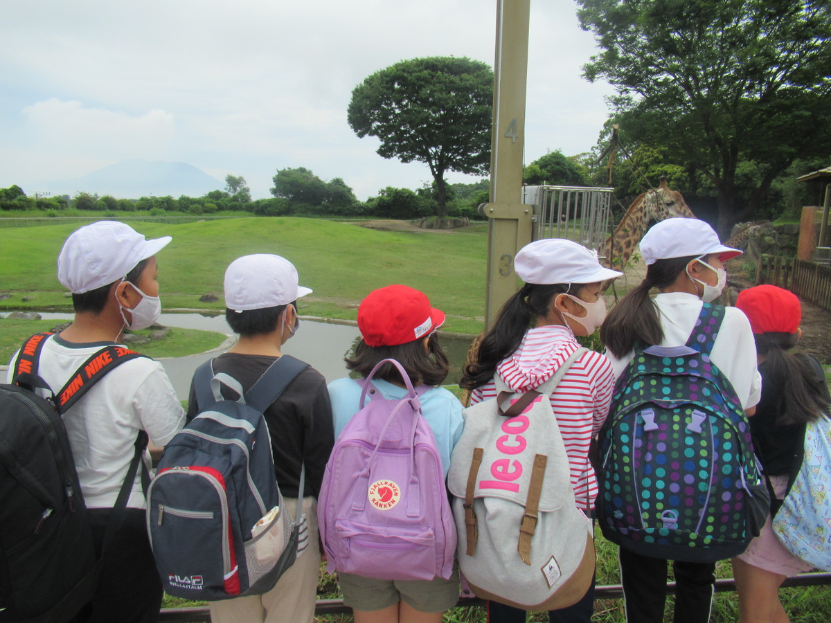 荒川小学校便り 一日遠足