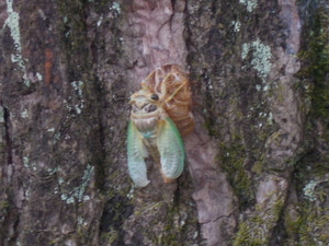 Dscn2840