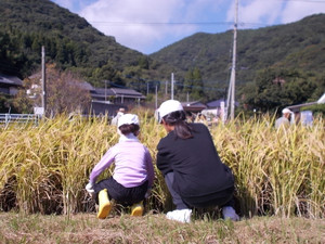 Dscn3229